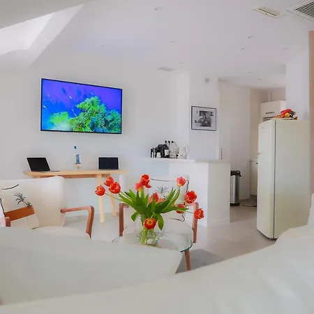 公寓 Loft Croisette Vue 戛纳
